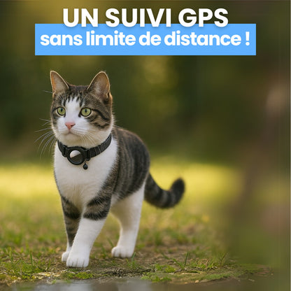 GPS CatGuard™ - Collier pour chat + Cadeau Exclusif
